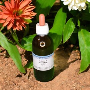 Tintura Madre – Betulla 150 ml