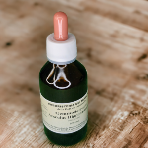 Gemmoderivato Aesculus Hippocastanum (Ippocastano)  100 ml