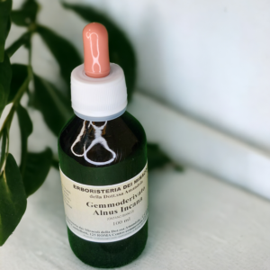 Gemmoderivato Alnus Incana (Ontano Bianco) 100 ml