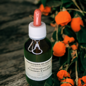 Gemmoderivato Fraxinus Excelsior 100 ml