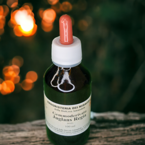 Gemmoderivato Juglans Regia (Noce) 100 ml