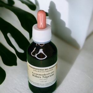 Gemmoderivato Ribes Nigrum (Ribes Nero) 100 ml