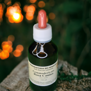 Gemmoderivato Rosa Canina 100 ml