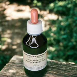 Gemmoderivato Rubus Fructicosus (Rovo) 100 ml