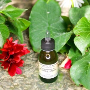 Gemmoderivato Calluna Vulgaris 100 ml