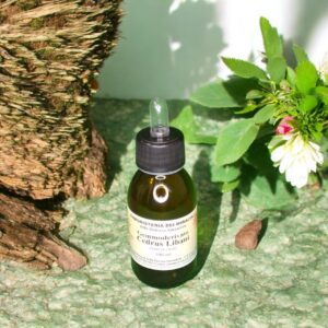 Gemmoderivato Cedrus Libadi (Cedro del Libano) 100 ml