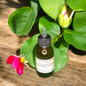 Gemmoderivato Ampelopsis Weitchi (Vite Canadese) 100 ml