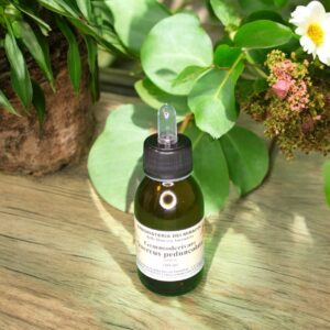 Gemmoderivato Quercus Peduncolata (Quercia) 100 ml