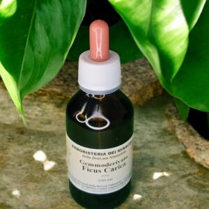 Gemmoderivato Ficus Carica (Fico) 100 ml