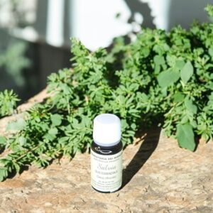 Olio Essenziale – Salvia 10 ml