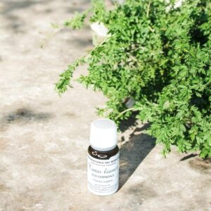 Olio Essenziale – Timo Bianco 10 ml