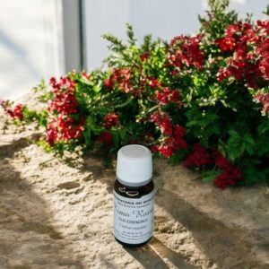 Olio Essenziale – Timo Rosso 10 ml