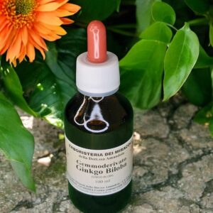 Gemmoderivato Ginko Biloba 100 ml