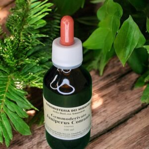Gemmoderivato Juniperus Communis 100 ml