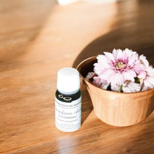 Olio Essenziale – Garofano Chiodi 10 ml