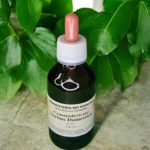 Gemmoderivato Sorbus Domestica 100 ml