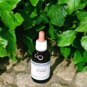 Tintura Madre – Erisimo 50 ml