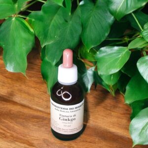 Tintura Madre – Ginkgo 50 ml