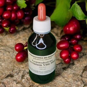 Gemmoderivato Vaccinium Vitis Idaea 100 ml