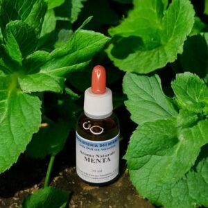 Aroma Naturale di Menta 30 ml