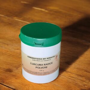 Curcuma Radice in Polvere 100 gr