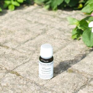 Olio Essenziale – Menta 10 ml