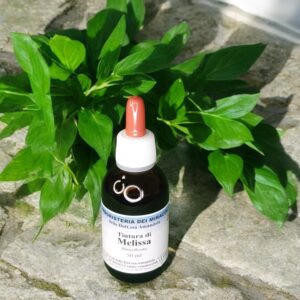Tintura Madre – Melissa 50 ml